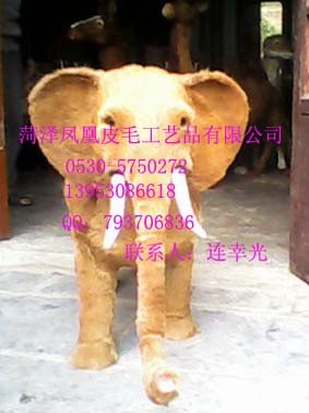 供应推出超强耐力版照相大像